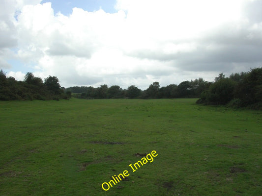 Photo 6x4 Wareham Common Compare its current lushness after recent heavy  c2010