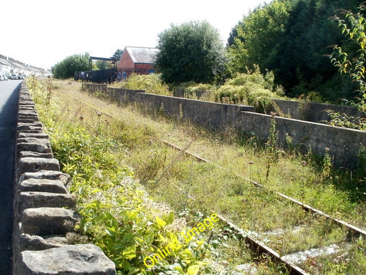 Photo 6x4 Overgrown railway line, Sudbrook Portskewett Viewed across the  c2010