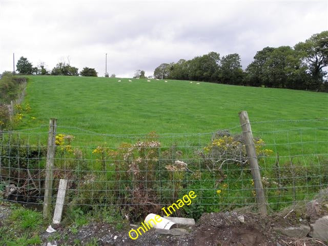 Photo 6x4 Gortmacoll Townland Baile na nGalloglach Looking NNW c2010