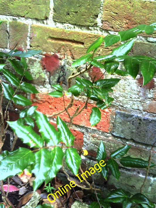 Photo 6x4 Benchmark on The Old Chapel (former Baptist Chapel) Ford\/SP770 c2010