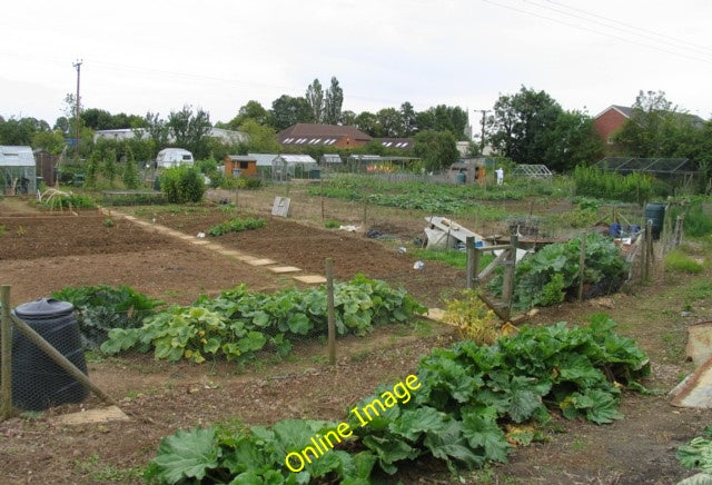 Photo 6x4 Allotments in Oakham Oakham\/SK8509  c2010