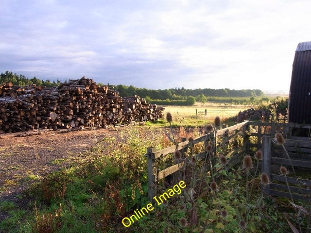 Photo 6x4 Wood stocks , Tiddesley Wood Ramsden\/SO9246 Log piles in eveni c2010