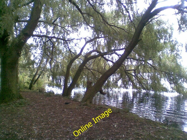 Photo 6x4 Nene Valley Northampton\/SP7561 Willow trees on the shore of a  c2010