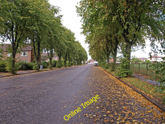 Photo 6x4 Broadloan, Renfrew Wide tree lined street adjacent to King Geor c2010