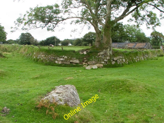 Photo 6x4 Field Corner near Sampford Spiney The wall is ancient and overg c2009