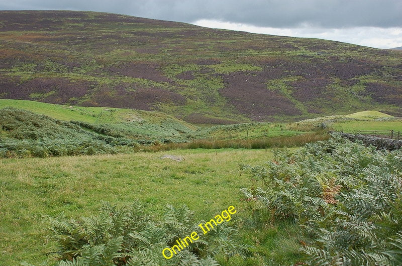 Photo 6x4 South of Black Meldon Lyne\/NT2041 A small burn with partly bra c2010