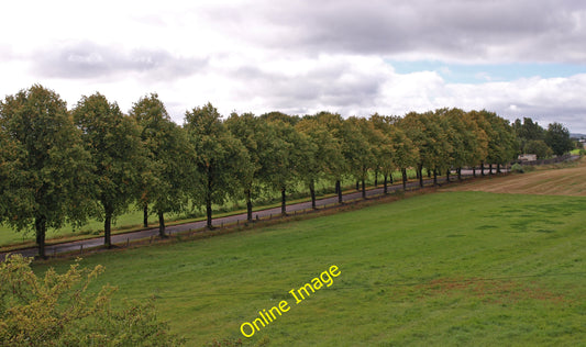 Photo 6x4 Tree-lined Arkleston Road Renfrew Near the M8 footbridge. c2010